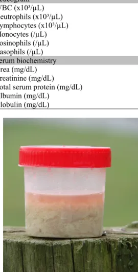 Figure  2.  Urine  of  cloudy  appearance  and  presence  of  thick  lump  sediment  collected  by  spontaneous  urination,  representing  infectious  process