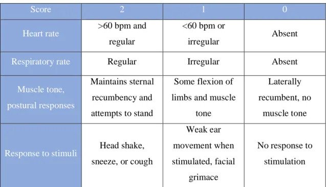 Table 1  -  APGAR Scoring System. Adapted from Palmer, J. E., 2009.