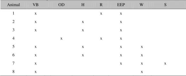 Table 1. Irregularities of the occlusal surfaces found during dental examination of animals examined in  the trial