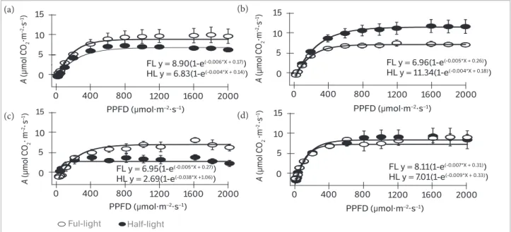 Figure 1. Light response curves of net photosynthesis (A) in function of photosynthetic photon flux density (PPFD) of Pachira aquatica (a,c)  and Sterculia foetida (b,d) plants at 153 (phase I – a,b) and 410 days (phase II – c,d) under controlled condition