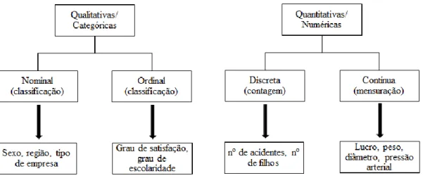 Figura 6.1 - Classificação das variáveis. Fonte: Miguel e Ho (2010: 75) 