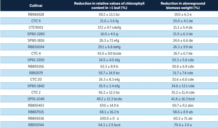 Table 7. Reduction (%) in relative values of chlorophyll content in + 1 leaf and in aboveground biomass weight (mean ± standard error) due  to  Mahanarva fimbriolata  infestation on each cultivar.