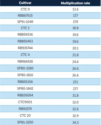 Table 5. Multiplication rate of  Mahanarva fimbriolata  each 39 days  for each cultivar.