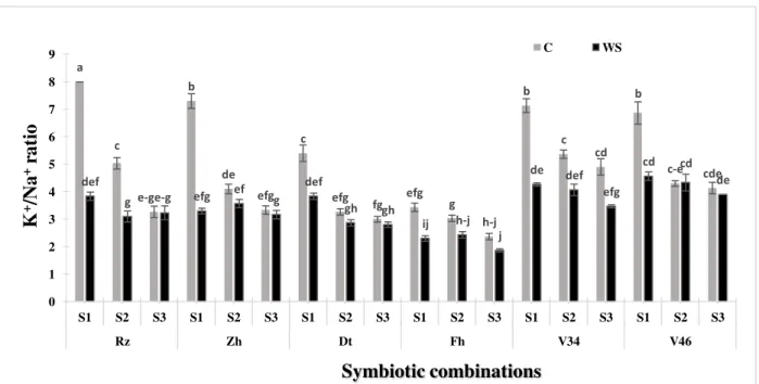 Figure 6. Effect of the water deficit on the K + /Na +  ratio in shoots of six Moroccan chickpea genotypes (Rz, Zh, Dt,  Fh, V34 and V46) inoculated with rhizobial strains