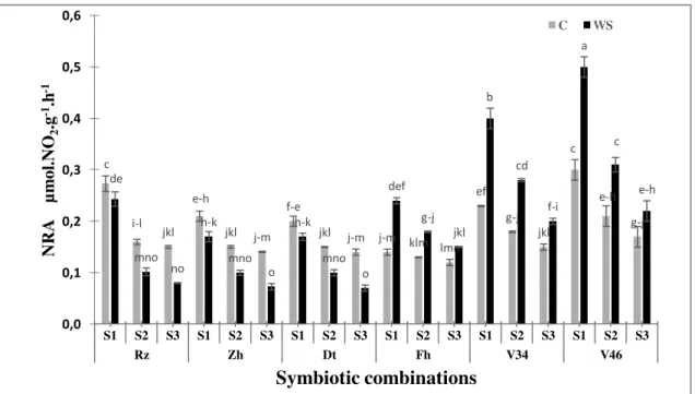 Figure 2. Effect of water deficit on NR activity in roots of six Moroccan chickpea genotypes (Rz, Zh, Dt, Fh, V34  and V46) inoculated with rhizobial strains