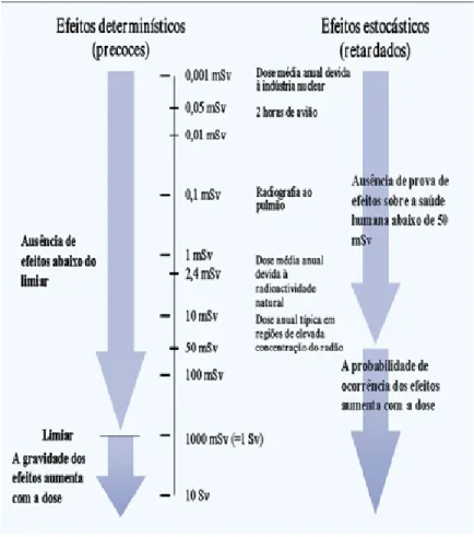 Figura 6 – Efeitos das radiações ionizantes (adaptado Bettencourt, 1998)   