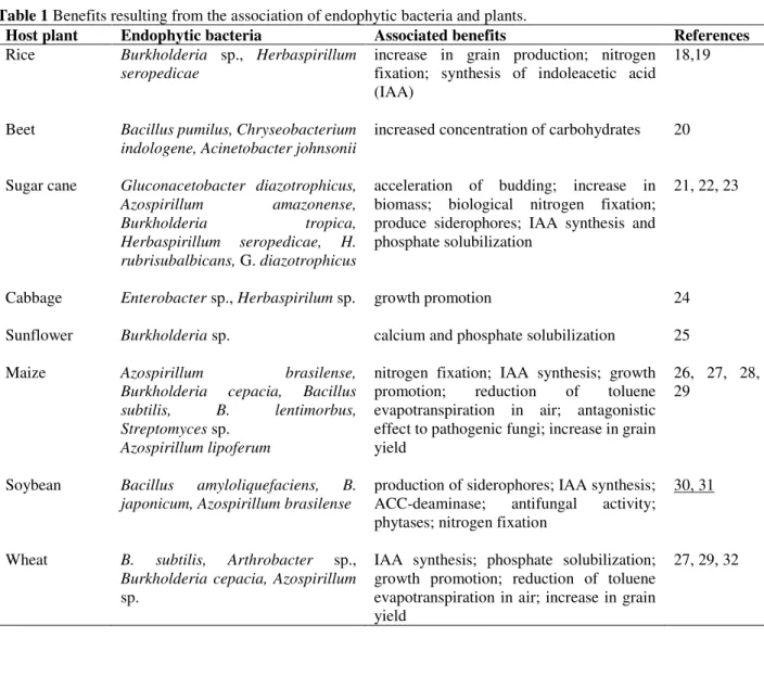 Table 1 Benefits resulting from the association of endophytic bacteria and plants. 