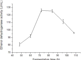 Figure 3- The ethanol dehydrogenase activity under different fermentation time 