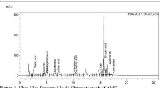 Figure 1. Ultra High Pressure Liquid Chromatograph of AME. 