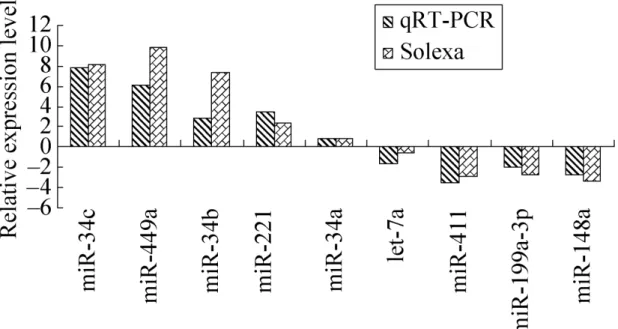 Figure 3.  Validation of the sequencing results by qRT-PCR. The x-axis represents the miRN    