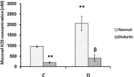 Figure  2-  Effect  of  distention-induced  gastric  acid  secretion  on  mucosal  expression  of  CSE  in  the  rat  stomach