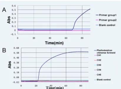 Figure  3.  Specify  detection  of  LAMP  method  for  the  P.  chinense.  (A)  Screening  the  best  group  of  P