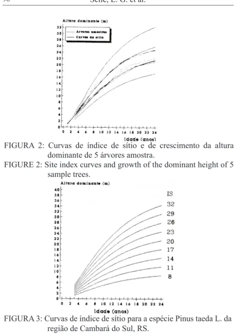 FIGURA 2: Curvas de índice de sítio e de crescimento da altura  dominante de 5 árvores amostra.