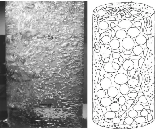 Figure 1.2: An example of bubble column. Left: a laboratory-scale bubble column (WARSITO et al., 1999) in the heterogeneous regime
