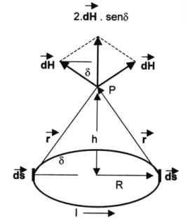 Figura 2 - Campo magnético de uma corrente circular