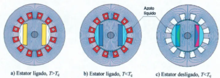 Figura 9 - Pré-magnetização por arrefecimento do rotor em presença do campo magnetostático