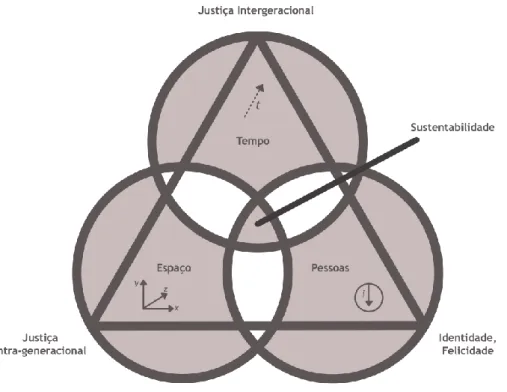 Figura  4  –  Cinco  dimensões  da  sustentabilidade.  Elaboração  própria,  grafismo  adaptado de Seghezzo (2009)