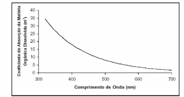 Figura 9 - Espectro de Absorção de Matéria Orgânica Dissolvida na Água (Fonte: Kirk, 1995)