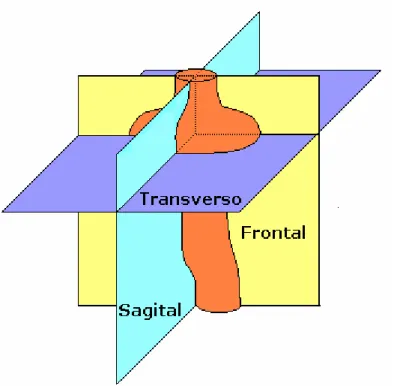 Figura  2.4  –  Planos  Frontal,  Sagital  e  Transverso  se  interceptando  no  centro  elétrico  do  coração [modificado de 1]