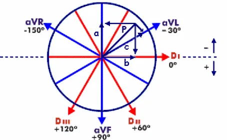 Figura 2.12 – Sistema Hexaxial, mostrando as projeções do vetor P sobre aVF, aVL e Di –  [Modificada de 51]