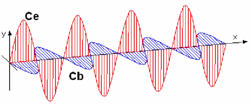 Figura 4.1 - Representação de uma onda eletromagnética da luz e os vetores C e  e C b 