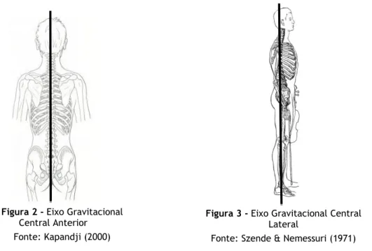 Figura 3 - Eixo Gravitacional Central  Lateral 