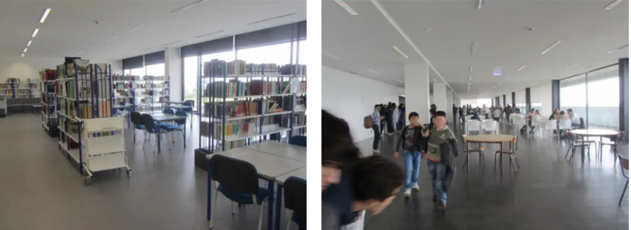 Tabela 2. Dimensão física da EBSCR. 