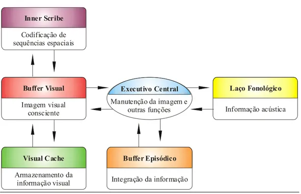 Figura 5: Representação da relação entre o inner scribe, o executivo central e o laço fonológico com o  Visual Cache – Buffer Visual do rascunho visuo-espacial