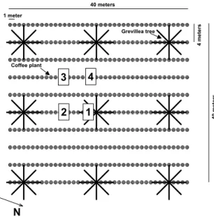 Figure 1. The installation scheme of the sensors at the shaded  plot (Points 1 to 4). 