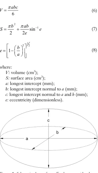 Figure 1. Schematic draw of a coffee berry considered as a  prolate spheroid shape type and its characteristics dimensions