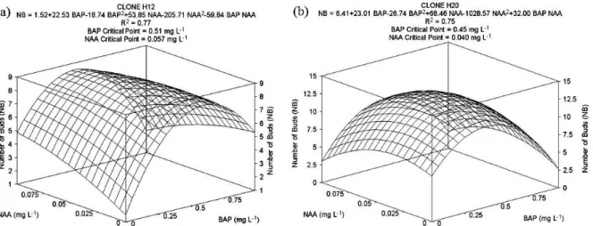 Figure 1. Average values for number of buds (NB) per explant of E. benthamii x E. dunnii under NAA and BAP treatments, 60 days after  inoculation