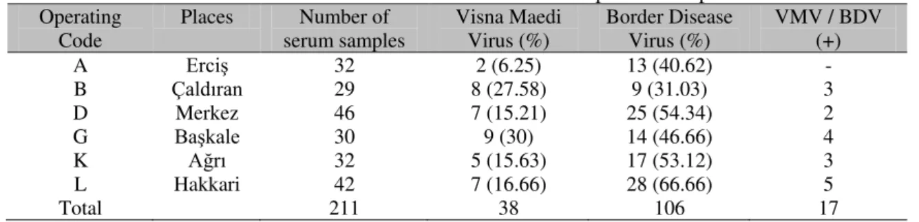 Table 3. Results of Visna-Maedi Virus and Border Disease Virus seropositive samples  Operating 