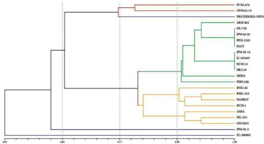 Figure 2: Dendrogram constructed with UPGMA clustering method among 23 genotypes of V
