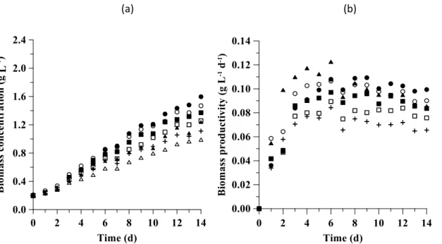 Figure 1. Profiles of biomass concentration (a) and biomass productivity (b) as a function of time for assays 1 (●), 2      (○), 3 (■), 4 (□), 5 (+), 6 (▲) and control (Δ) as obtained with Spirulina sp