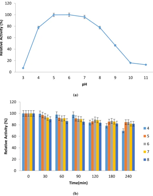 Figure 5 Effect of pH on purified amylolytic activity (a) and stability (b). 