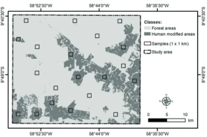 FIGURE 3 Sampling design in forest and human modifi ed areas.