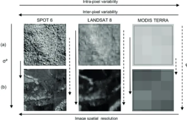 FIGURE 6 Effect of image resolution on sill (σ²) and range (φ)  parameters for the characterization of landscape  spatial heterogeneity: (a) Forest areas and (b) Human  modified areas.