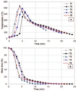 FIGURE 1 Variation of temperature (A) and mass consumption  (B) during the combustion test.