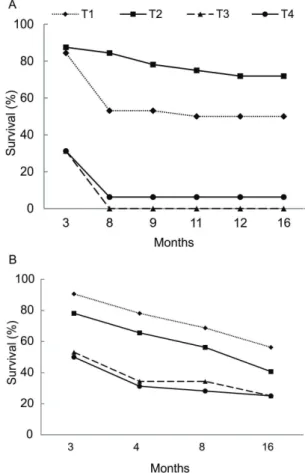 FIGURE 3 Survival of A. angustifolia grafts as a function of  growth  habit  and  age  of  rootstock  at  16  months  after grafting performed in spring/2015