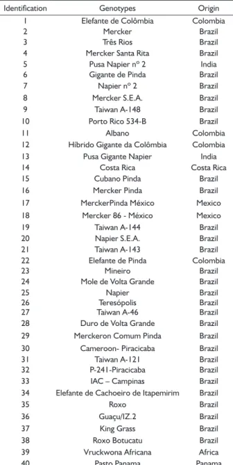 TABLE 1  Genotypes (40) of elephant grass from the Active  Germplasm Bank of elephant grass at Universidade  Estadual do Norte Fluminense.
