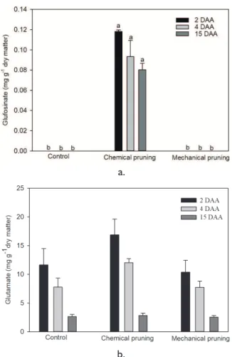 FIGURE 1 Glufosinate (A) and glutamate (B) contents (mg g -1  dry  matter) at 2, 4, and 15 days after application (DAA)  of  treatments  in  eucalyptus  plants  (control  with  no  pruning, chemical pruning with glufosinate ammonium,  and mechanical prunin