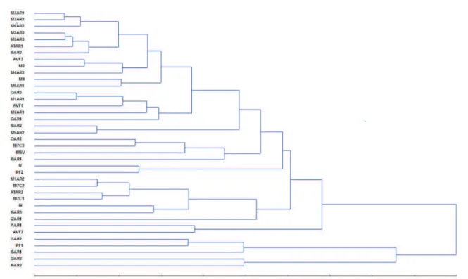 TABLE 3  Groups of Fusarium spp. isolates based on the  UPGMA clustering method.