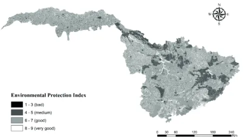 TABLE 3  Area (%) of each preservation class in Rio Grande  basin, Minas Gerais state.