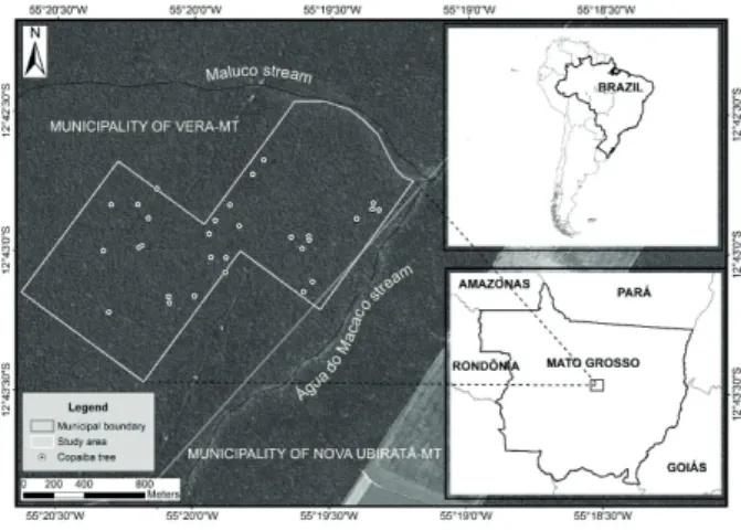 FIGURE 1 Localization of the study area in the Cerrado–