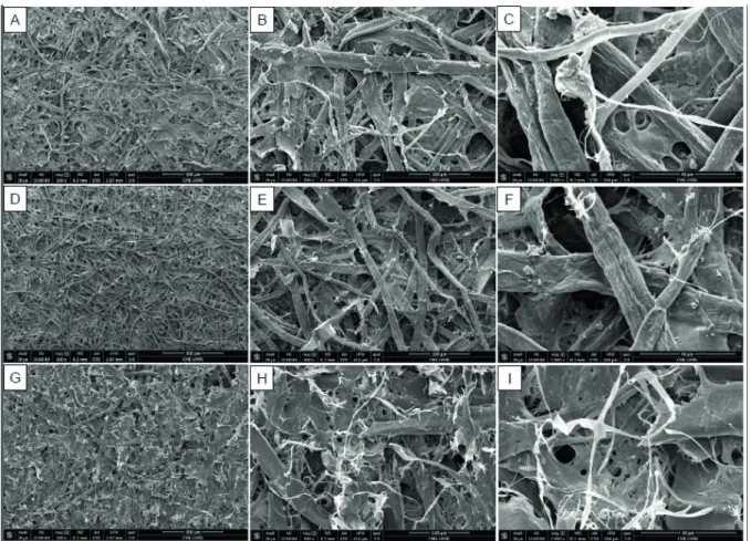 FIGURE 2 SEM images of recycled fi bers from cardboard (A, B and C), printing and writing paper (D, E and F) and newsprint (G,  H and I) at magnifi cation of 100, 500 and 2000 x (left to right).