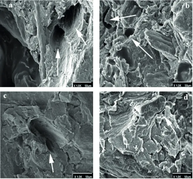 FIGURE 2 SEM image of nanocomposite a) 0 phc, b) 2 phc, c) 4 phc,  and d) 6 phc nanosilica.