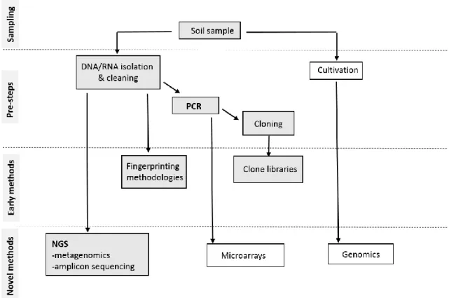 Figure 2. Schematic representation of a general workflow to assess microbial diversity in soils