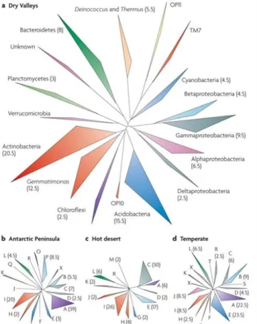 Figure  4.  Phylogenetic  diversity  of  bacterial  16s  rRNA  gene  in  different ecosystems