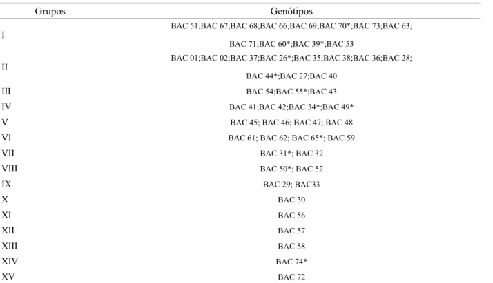 TABELA 4: Agrupamento dos 50 genótipos de teca pelo método Tocher, a partir da análise molecular por  meio dos marcadores ISSR.