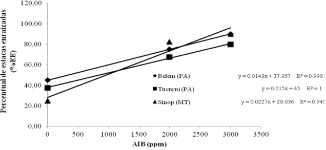 FIGURA 1:    Comportamento do enraizamento de estacas produzidas de diferentes materiais genéticos de paricá, 45  dias após o tratamento com concentrações de AIB (0, 2.000 e 3.000 ppm).